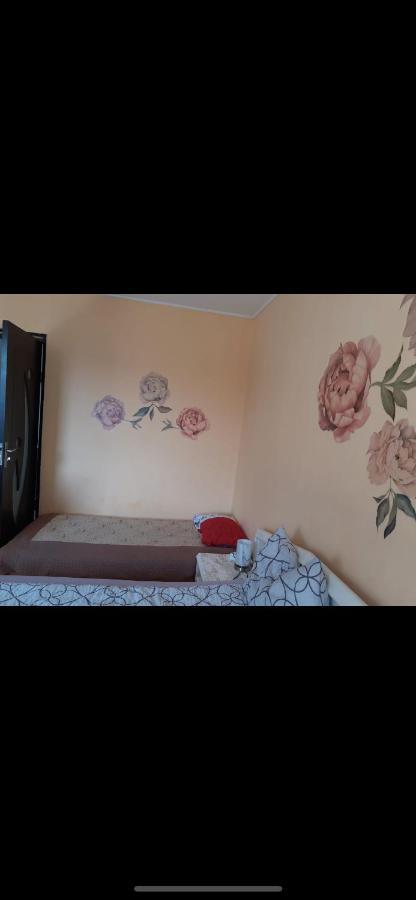 سيفِسوارا Made In Transilvania المظهر الخارجي الصورة